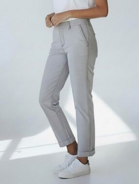 Eileen Fisher Flat Front Women's Clay Gray Chinos